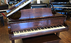 PW_AGM_Large_02