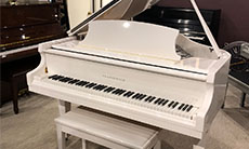 PW_AGM_Large_31