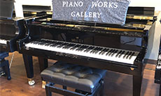 PW_AGM_Large_33
